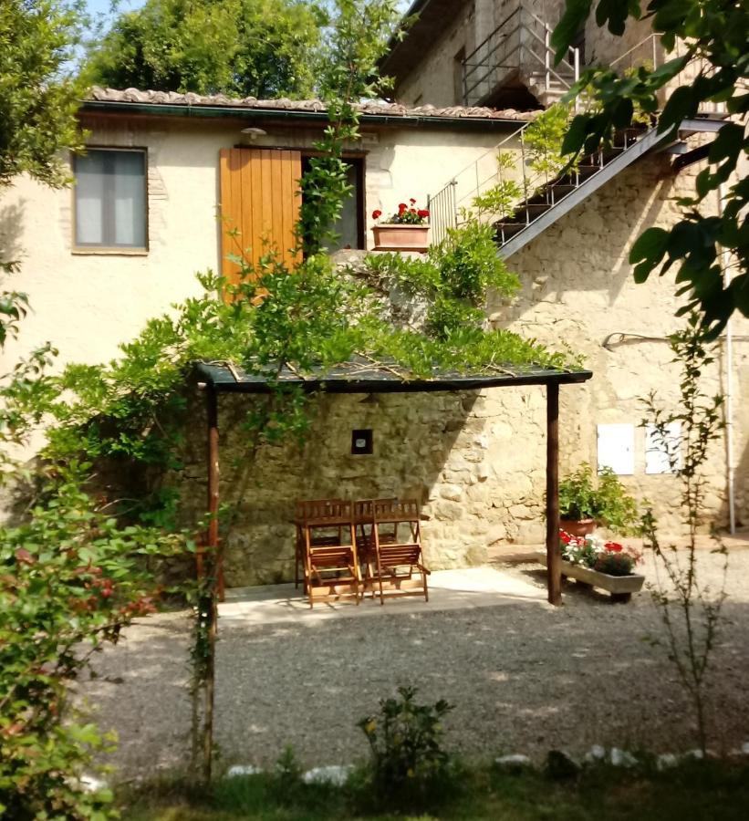 Agriturismo Bellavista Radicondoli Ngoại thất bức ảnh