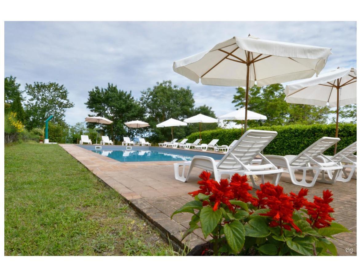 Agriturismo Bellavista Radicondoli Ngoại thất bức ảnh